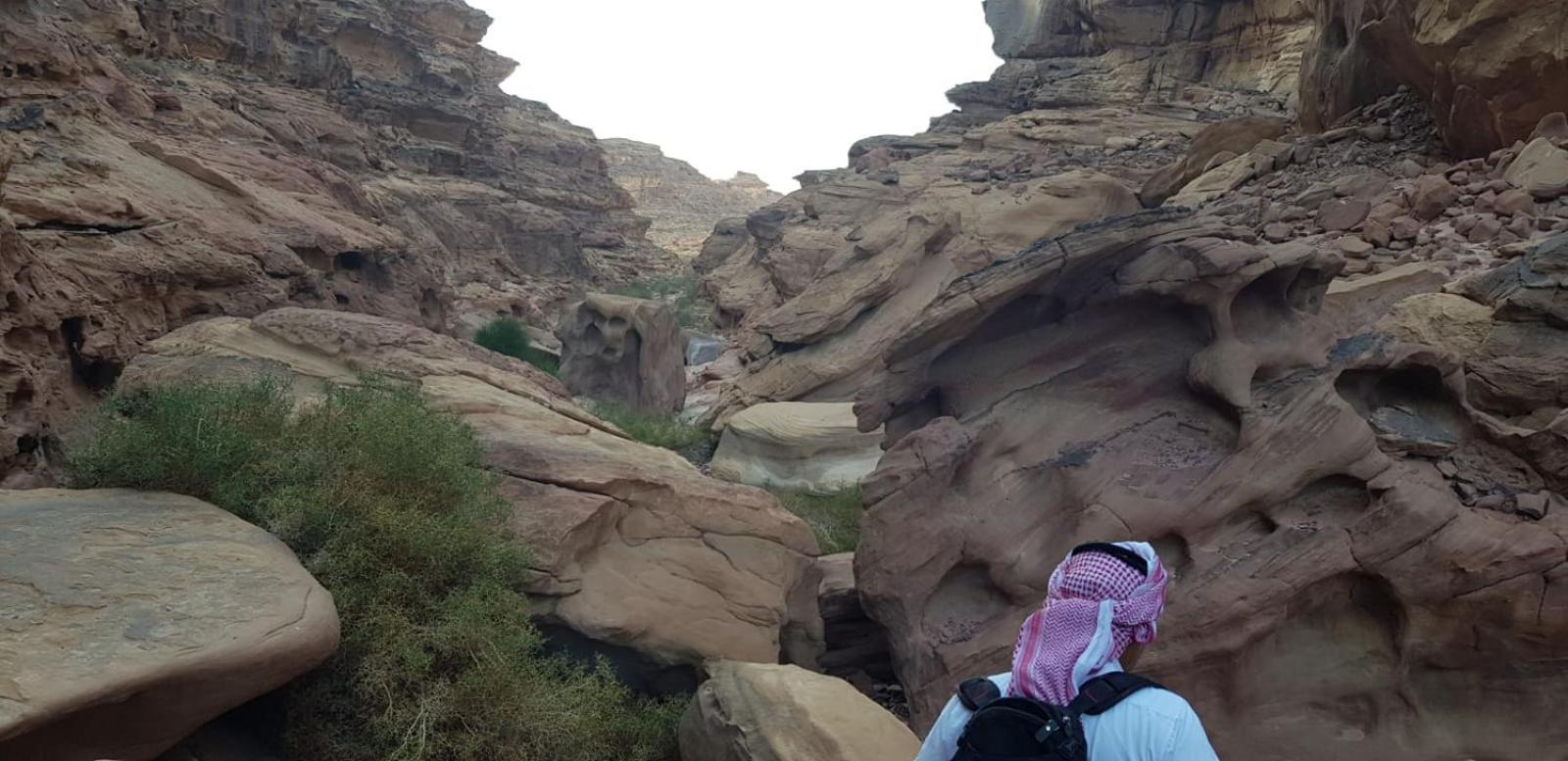 Bedouin Stylelife Camp Hotel Wadi Rum Buitenkant foto