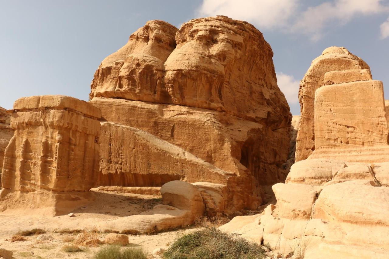 Bedouin Stylelife Camp Hotel Wadi Rum Buitenkant foto